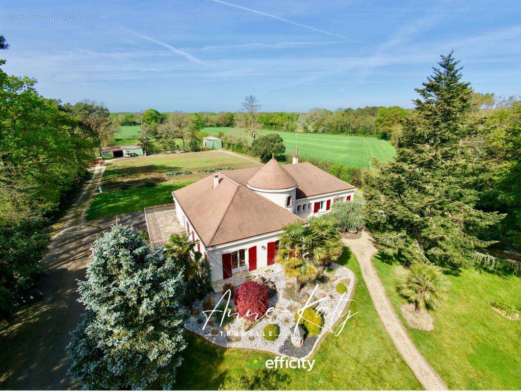 Maison 252 m² à Martinet  - photo 11