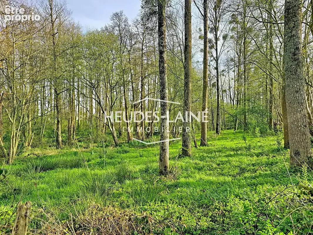 EXCLUSIVITÉ - Terrain avec étang - photo 4