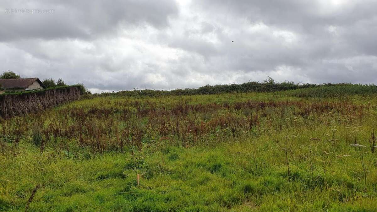 Terrain à VIEUX-MANOIR