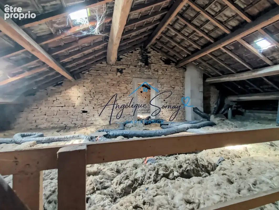  MANTRY – Maison mitoyenne avec maisonnette en pierre et beaux volumes - photo 35