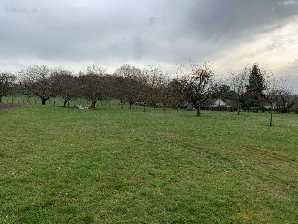 Terrain à COULANGES-LES-NEVERS