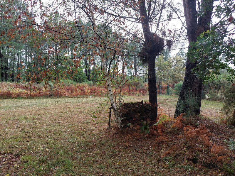 Terrain à BISCARROSSE