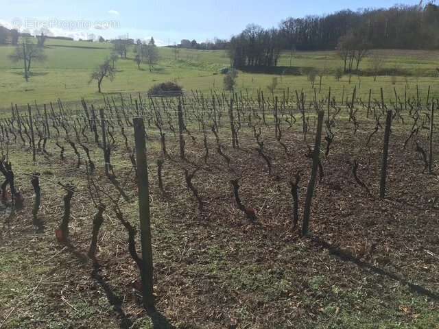 Maison à SAINT-SEVERIN