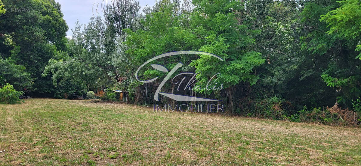 Terrain à SAINT-ANDRE-DE-CUBZAC