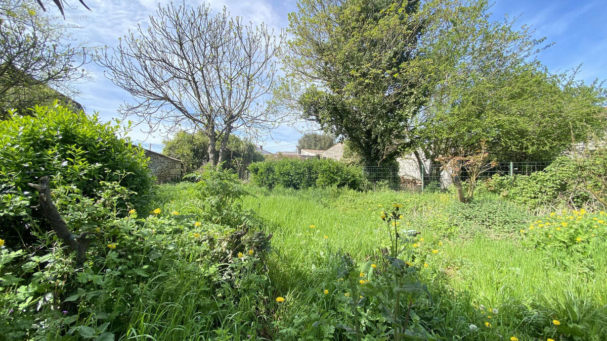 Maison à SAINT-FORT-SUR-GIRONDE
