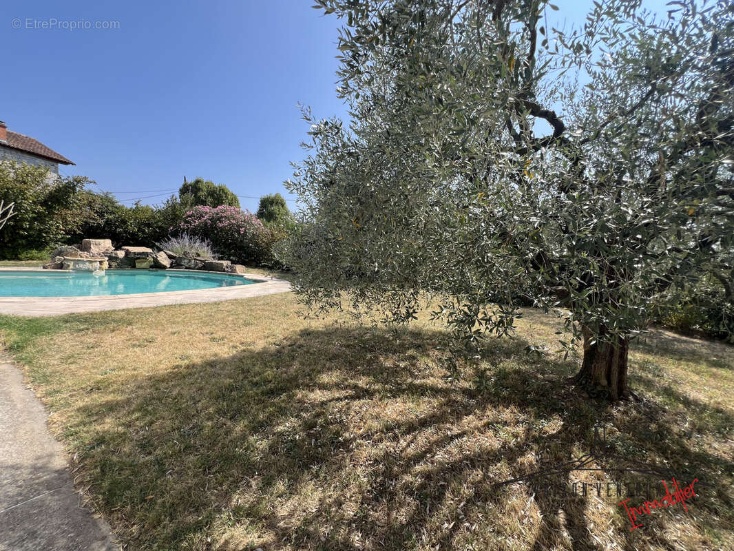 Superbe villa d'architecte Vaison la Romaine centre - photo 3