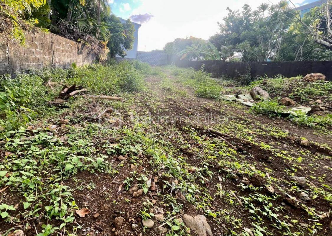 Terrain à SAINTE-SUZANNE
