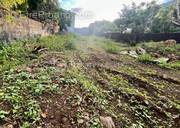 Terrain à SAINTE-SUZANNE