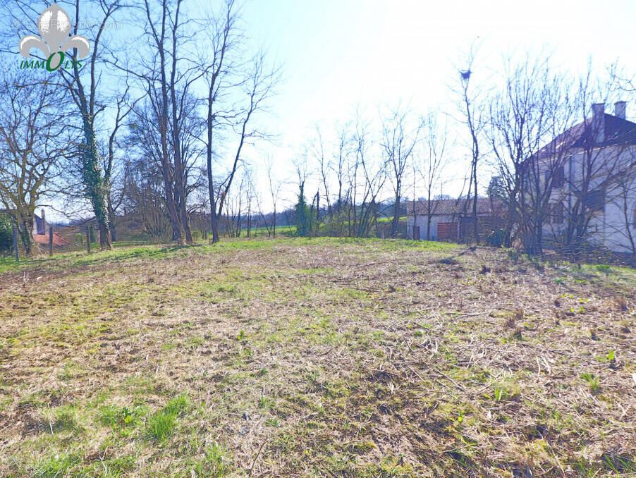 Terrain à AUVILLARS-SUR-SAONE