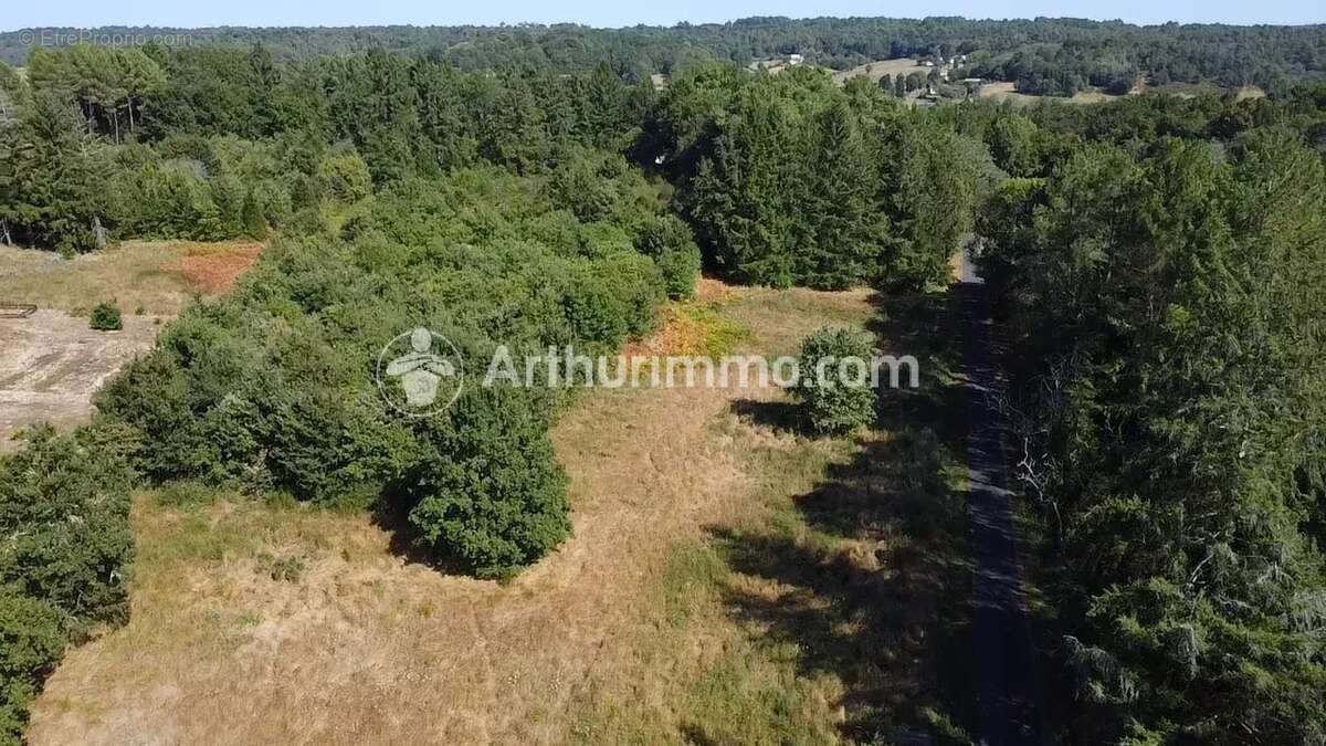Terrain à bâtir - 3390 m² - photo 4