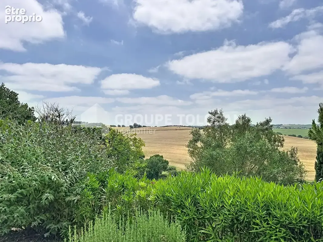 Maison 8 pièces 358 m² à vendre à Lavaur (81500) - photo 2