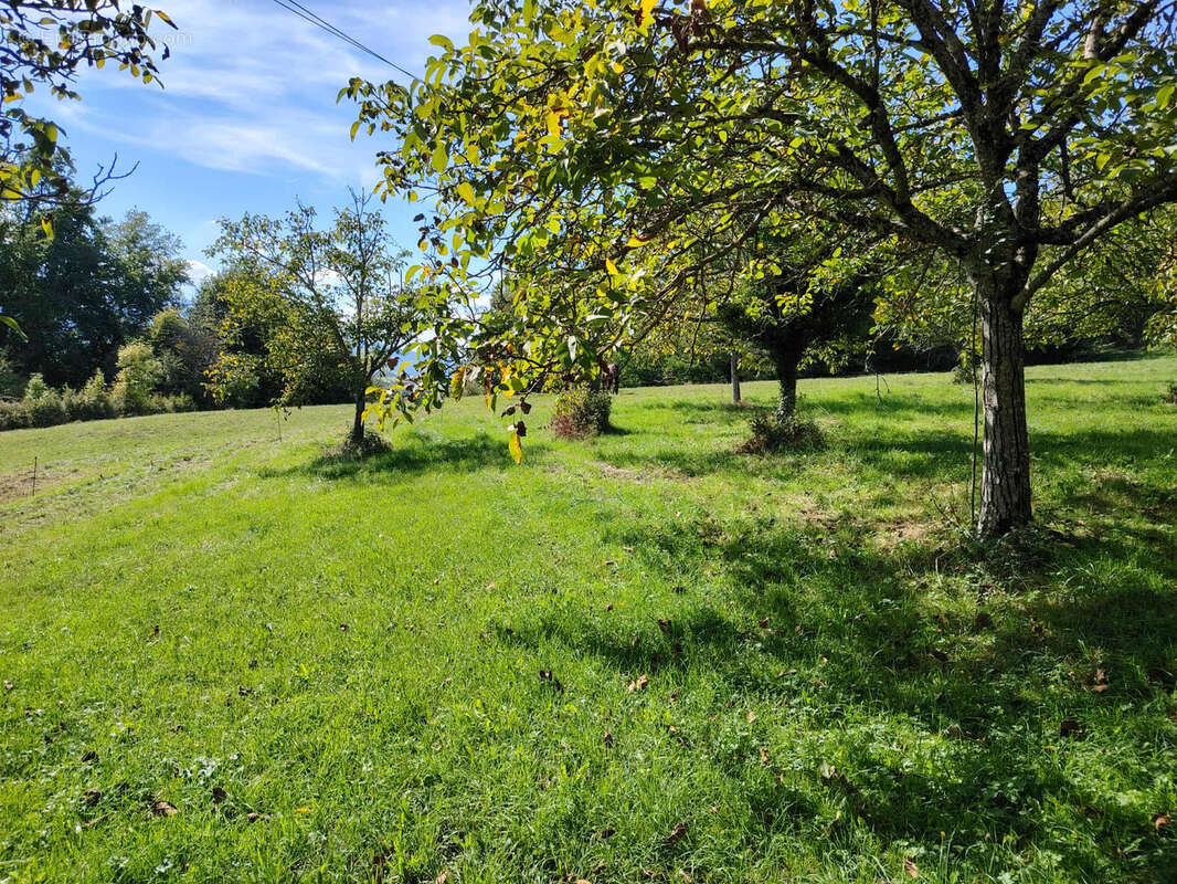 Terrain à SAINT-ANDRE-EN-ROYANS