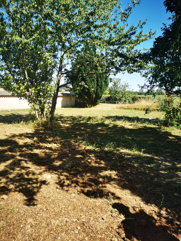 Terrain à SAINT-JORY