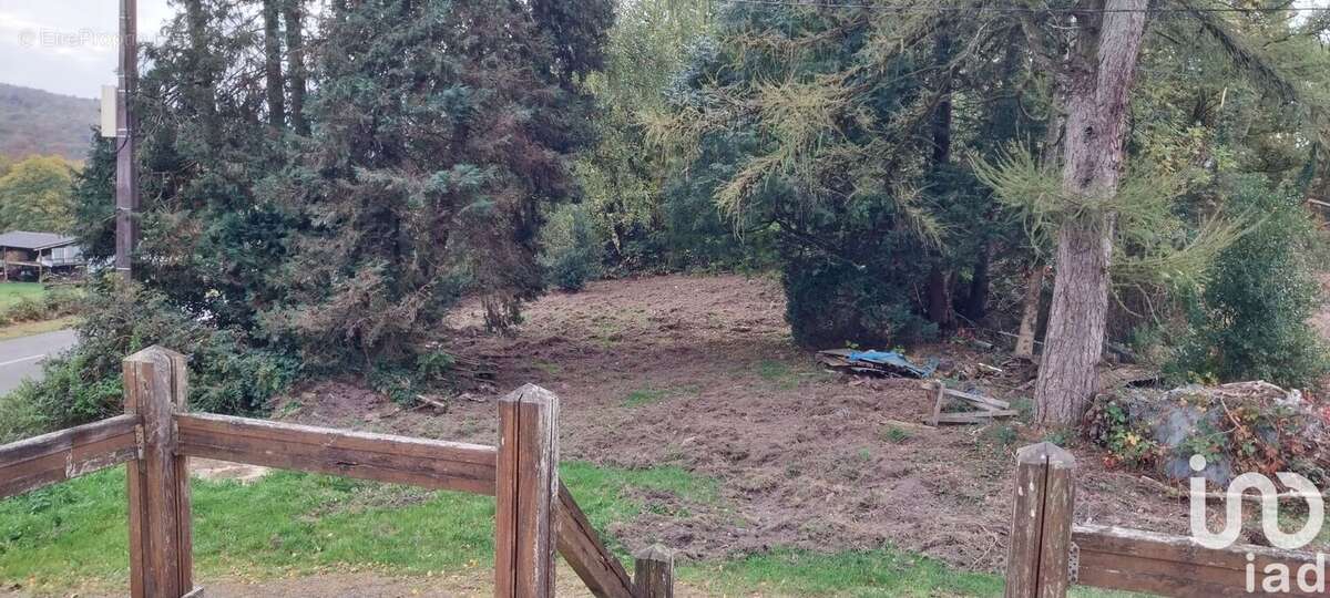 Photo 3 - Maison à MONTHERME