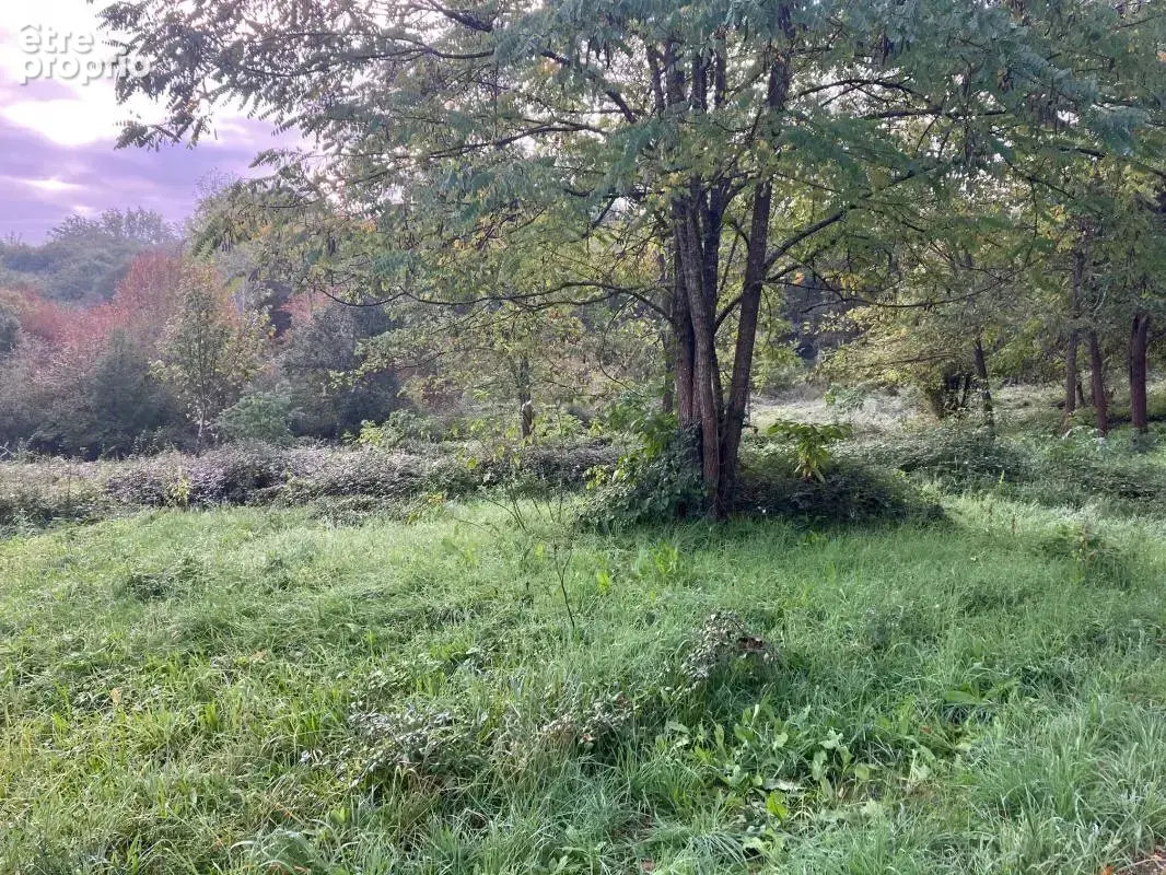 Terrain à bâtir au calme à Nabirat - photo 2