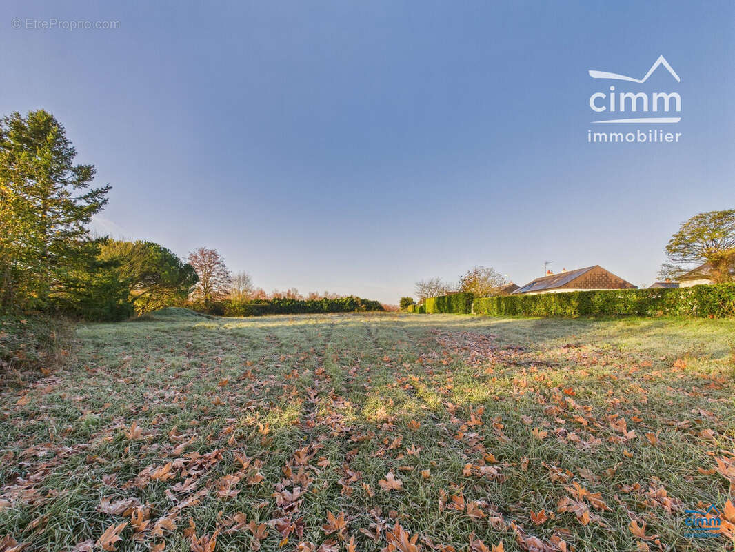 Terrain à LONGUE-JUMELLES