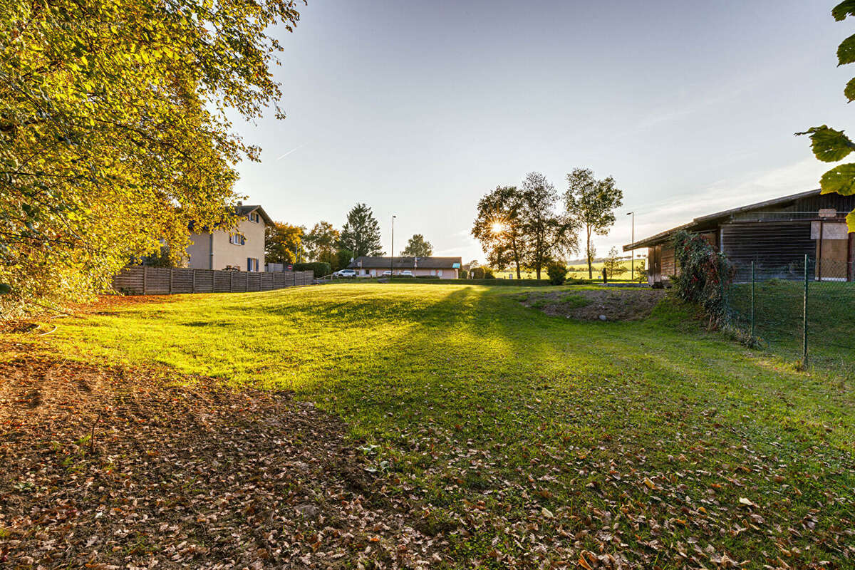 Terrain à EXCENEVEX