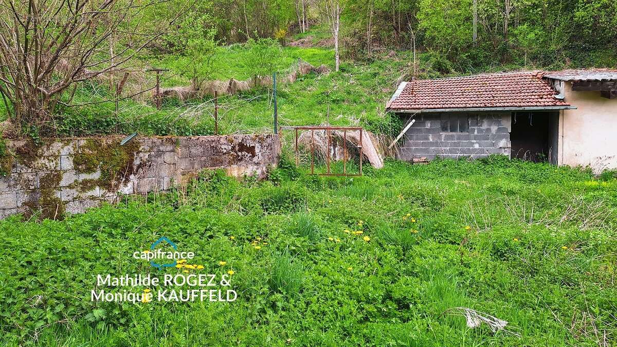 Immeuble à vendre SAINT MARTIN DES OLMES (63) 4 appartements avec 1,2 hectare de terrain - photo 23