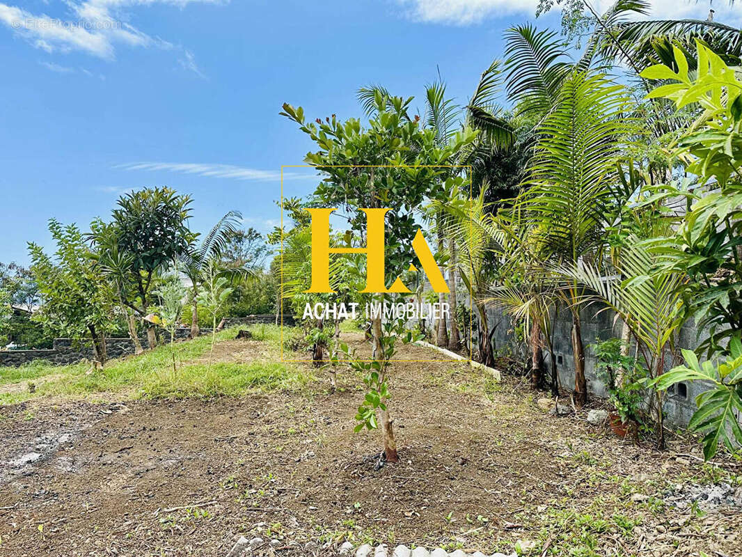 Terrain à SAINT-BENOIT