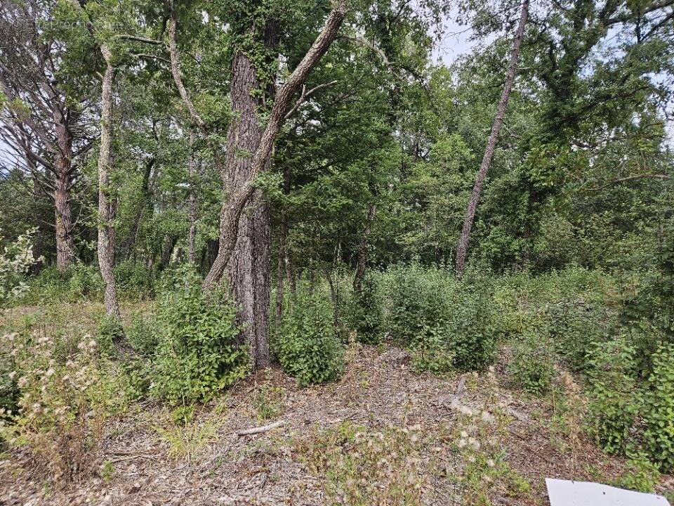 Terrain à TOURRETTES