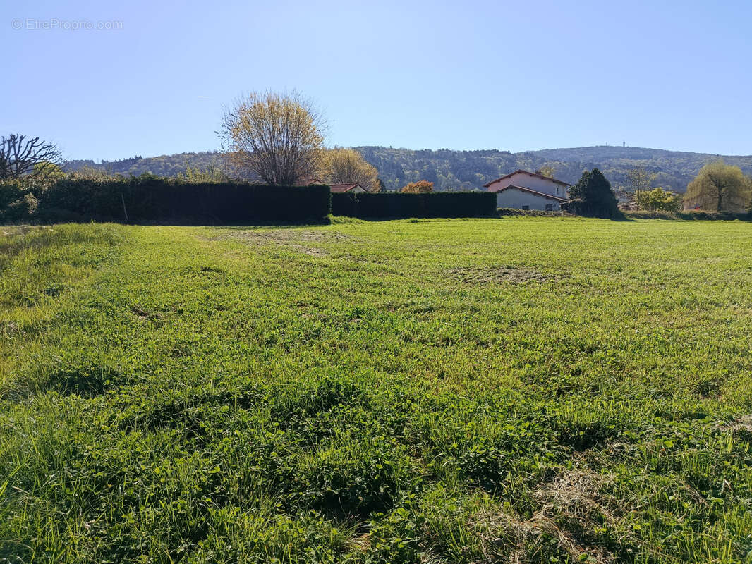 Terrain à JASSERON