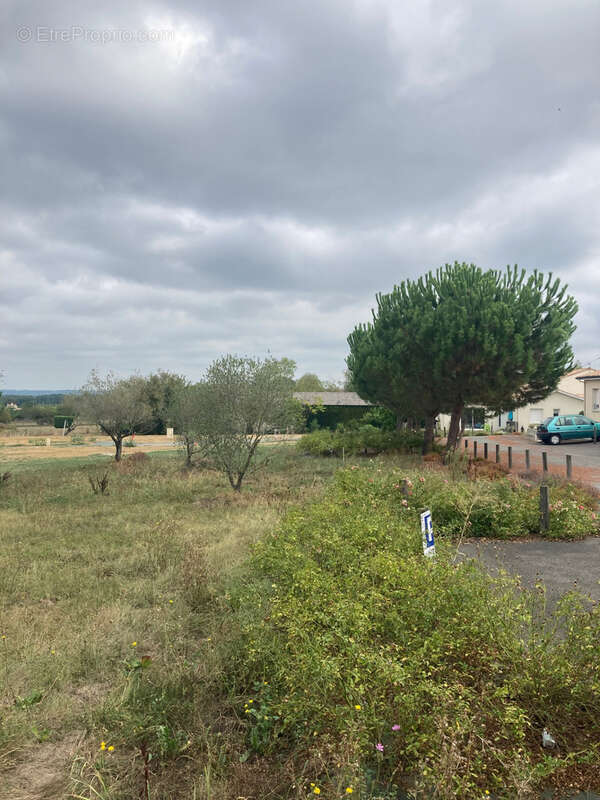 Terrain à SAINT-GERMAIN-DU-PUCH