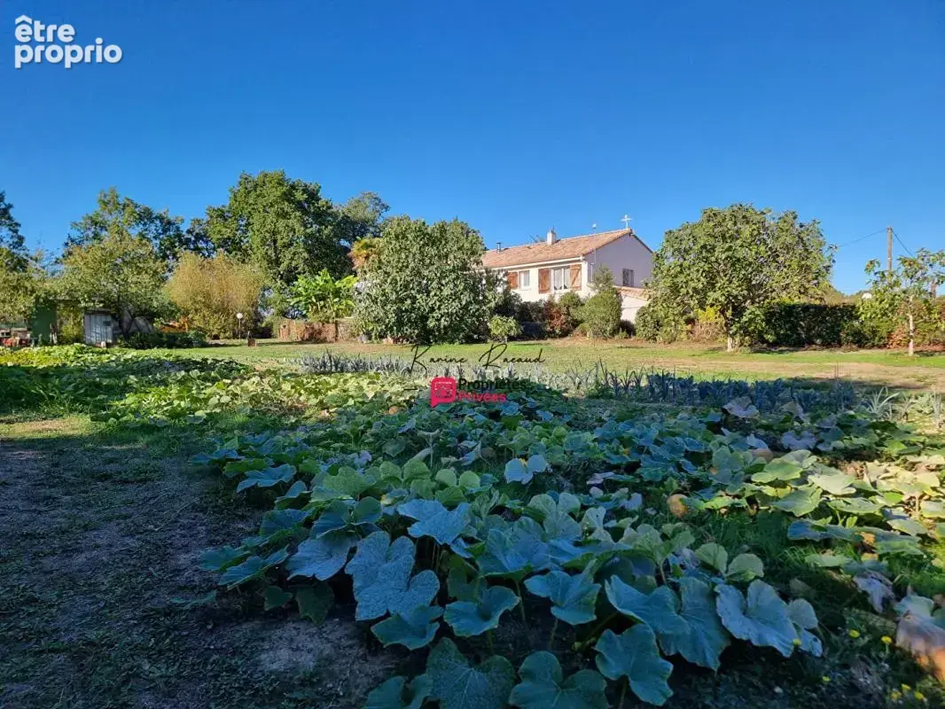 Maison 3 chambres 166 m² -  sous-sol total  - terrain 4800 m² - potentiel foncier - photo 17