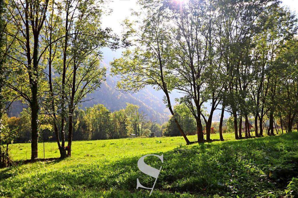 Terrain à LA BALME-DE-THUY