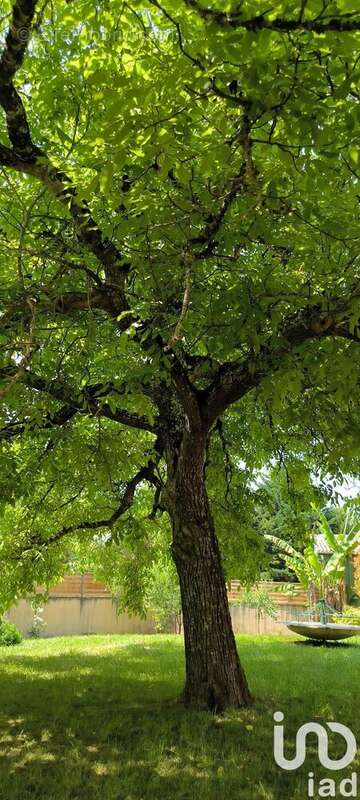 Photo 6 - Maison à SAINT-CHAMASSY