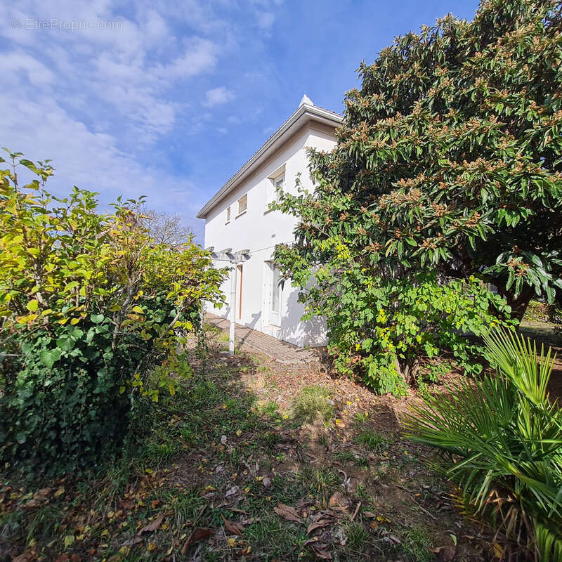 Maison à VILLENEUVE-TOLOSANE