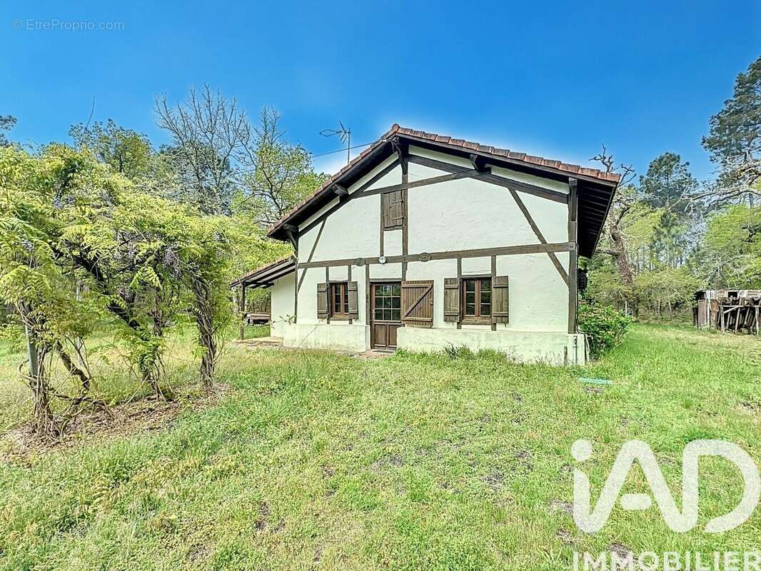 Photo 2 - Maison à ARUE