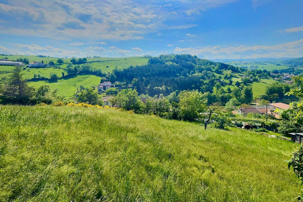 Terrain à SAINT-GALMIER