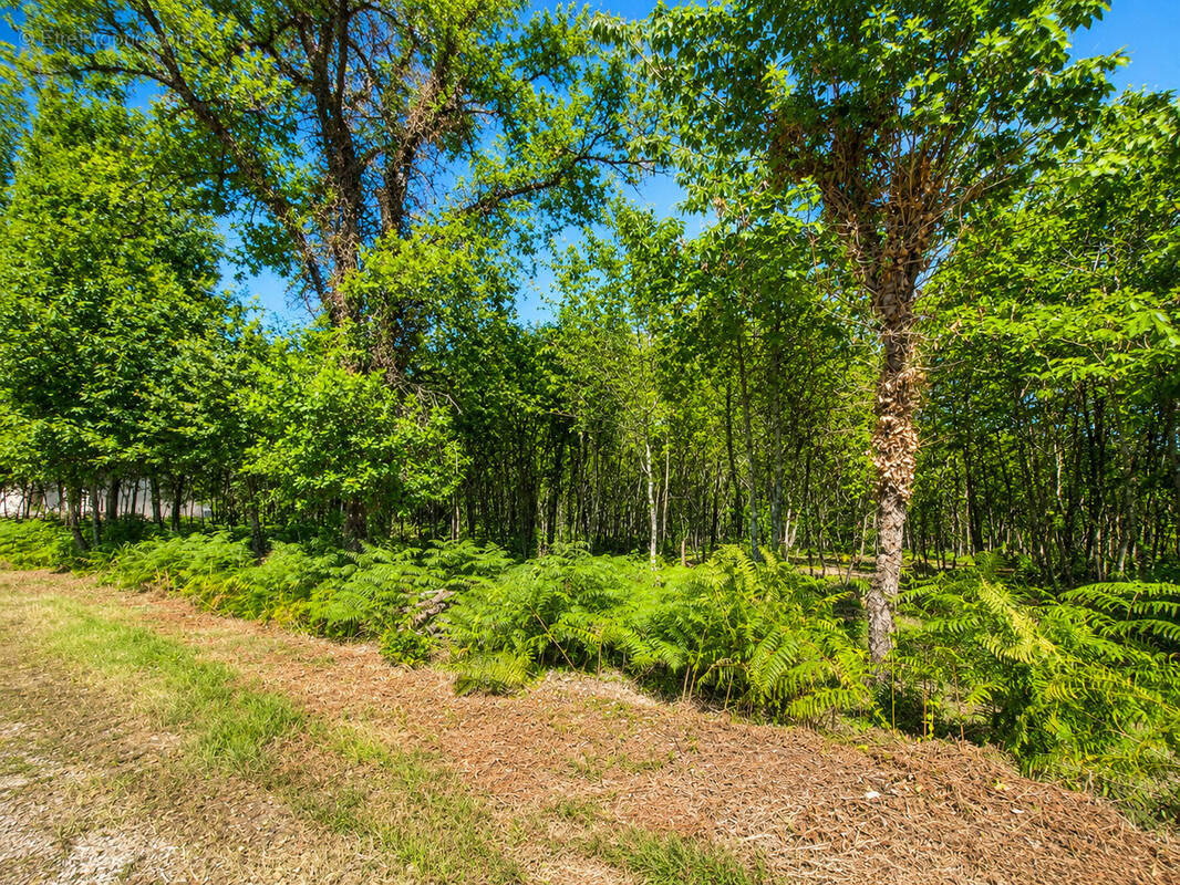 Terrain à BOULAZAC