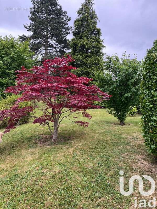 Photo 4 - Maison à ELANCOURT