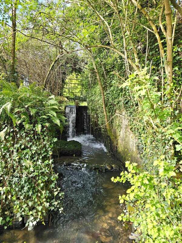 Photo 9 - Maison à MUNEVILLE-LE-BINGARD