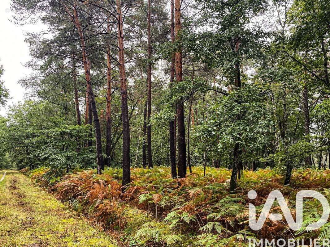 Photo 7 - Maison à ARDON