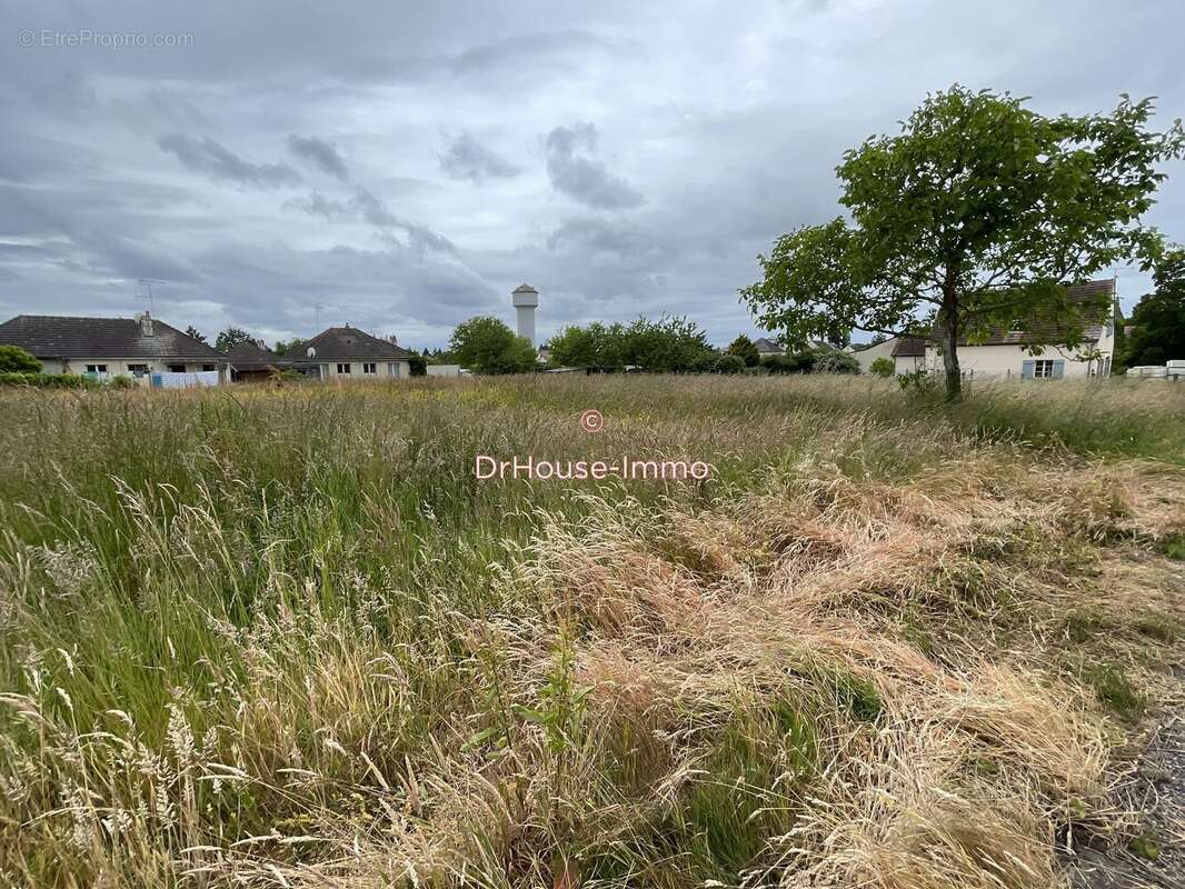 Terrain à LORRIS