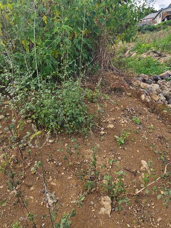 Terrain à L&#039;ETANG-SALE