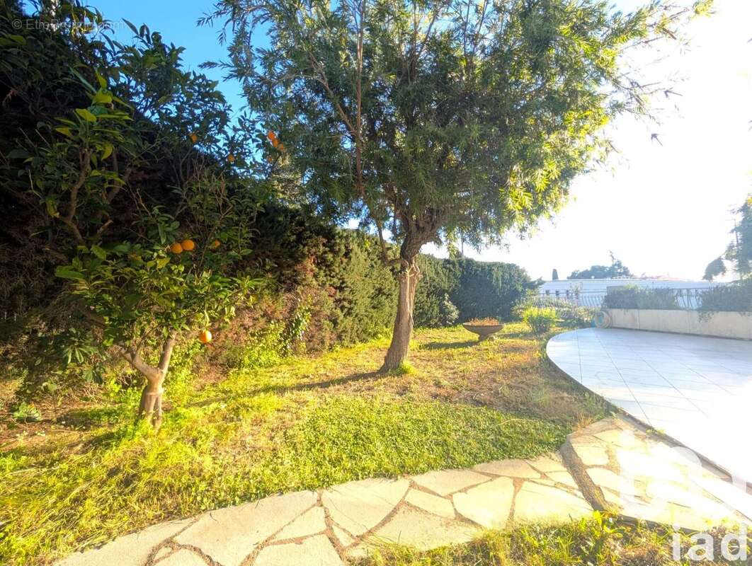 Photo 7 - Appartement à CANNES