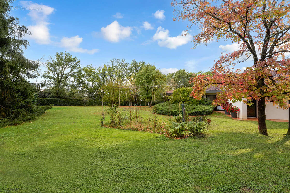 Maison à L&#039;UNION