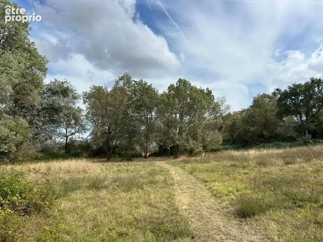 LECTOURE, Maison de caractère avec ses dépendances et 5hectares de terres autour - photo 14
