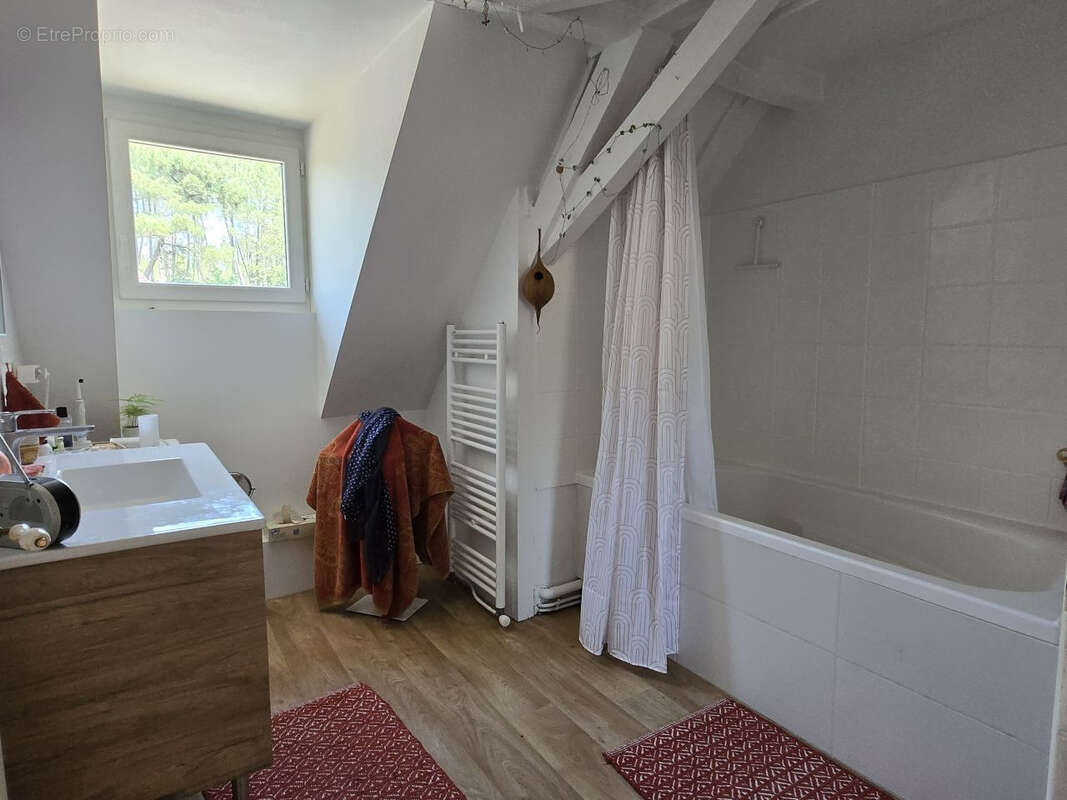 Ensemble de 3 habitations sur un parc de 2ha76 avec étang! - photo 13