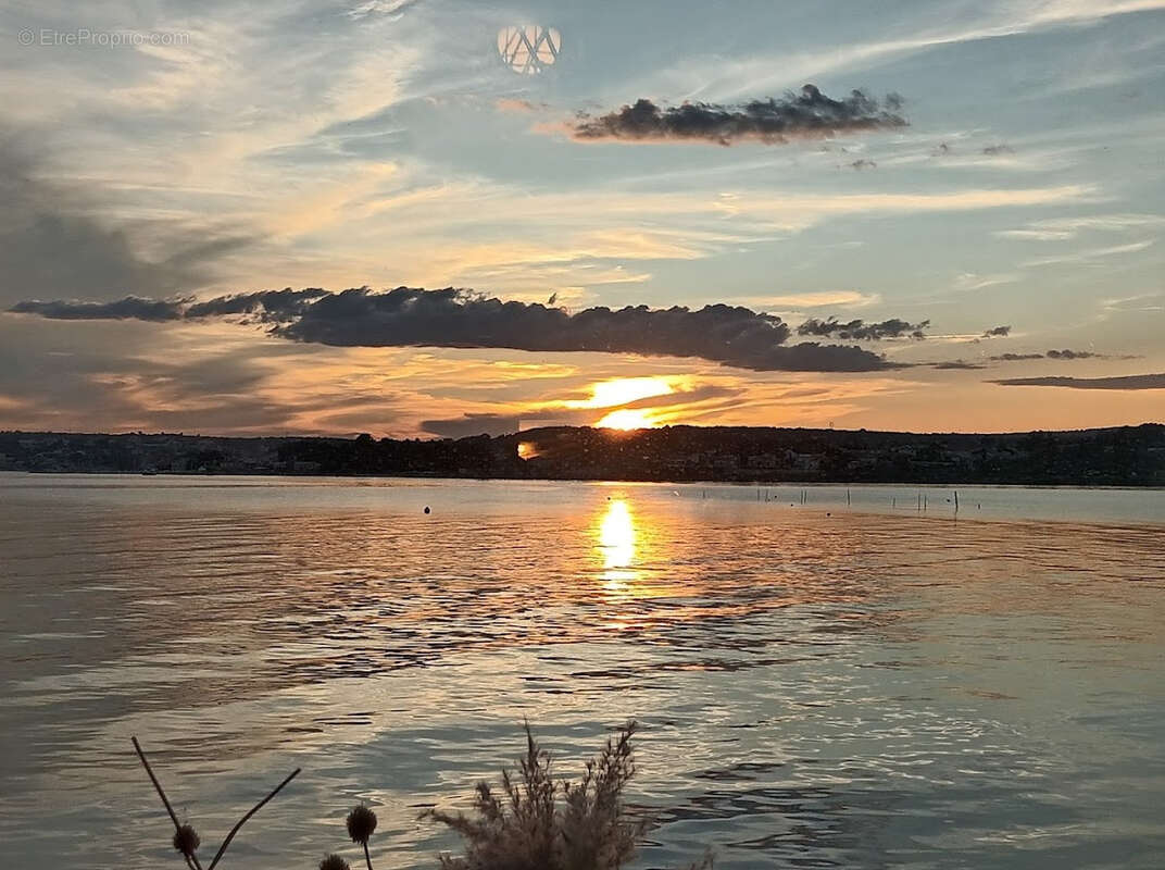 Commerce à BALARUC-LES-BAINS