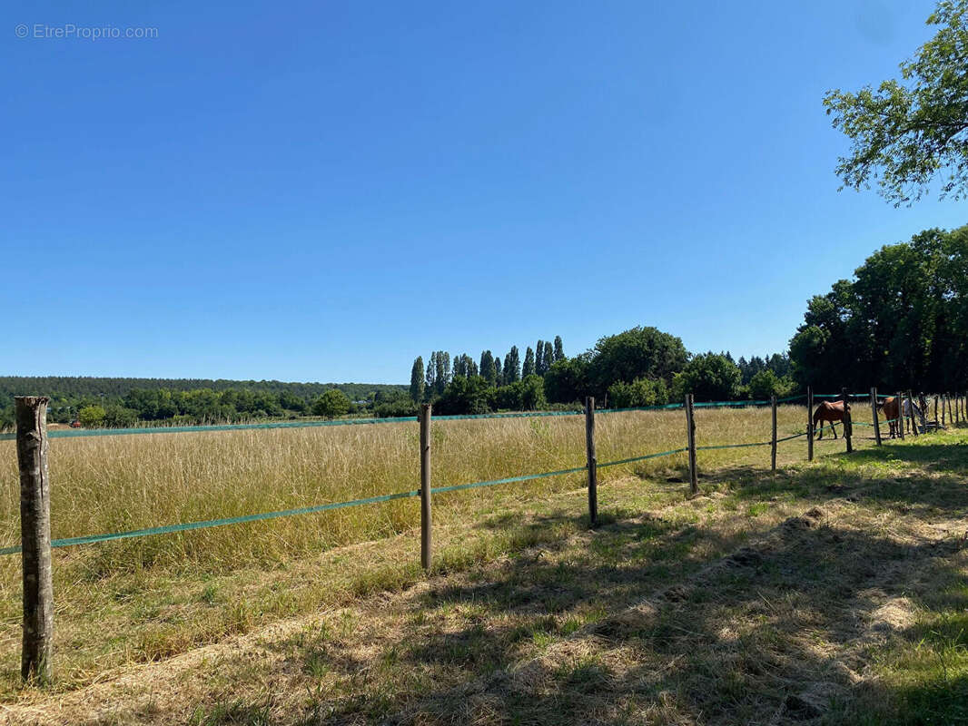 Etang Saint Lubin Des Joncherets - photo 10