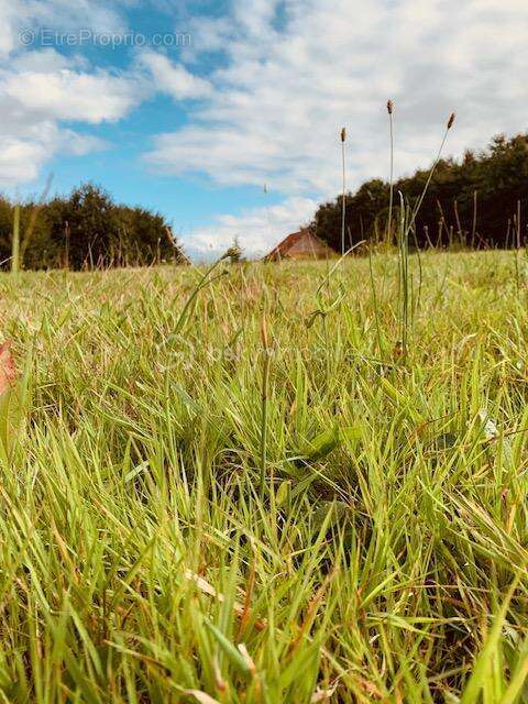 Maison à BELLEVESVRE