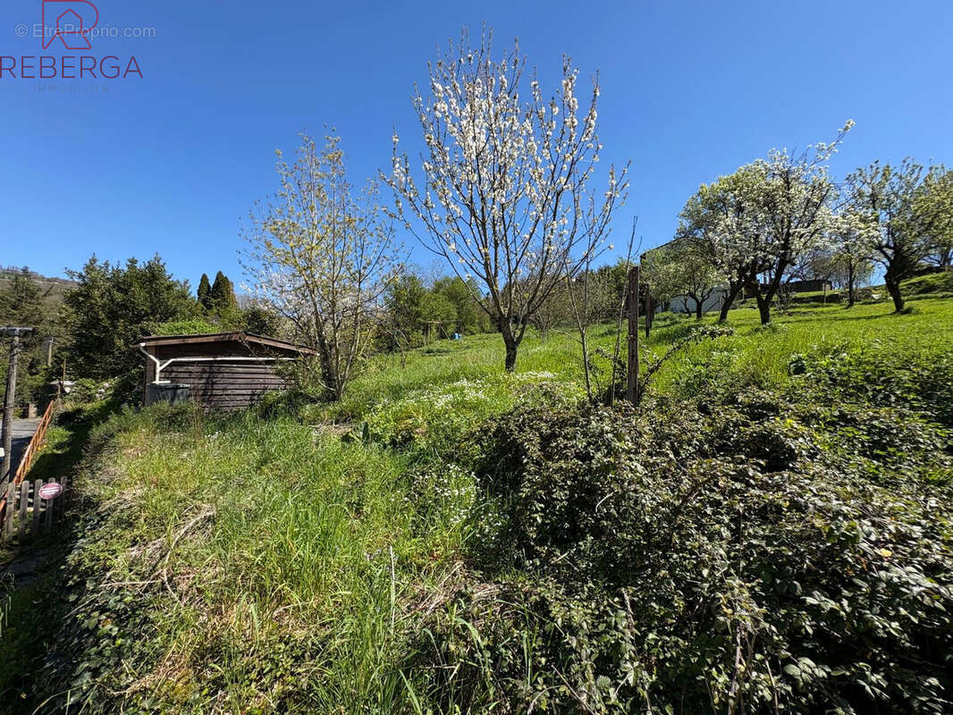 Maison à SAINT-AMANS-VALTORET