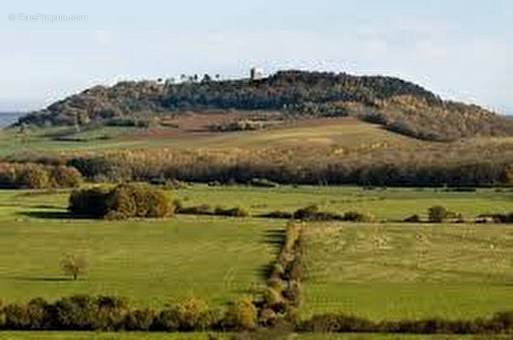 Terrain à RAMBUCOURT