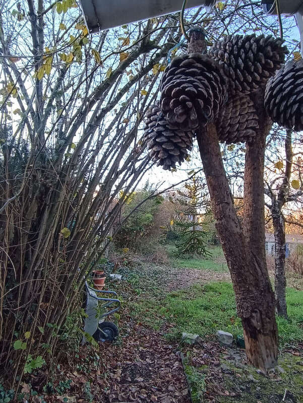 Maison à FONTENAY-LE-FLEURY