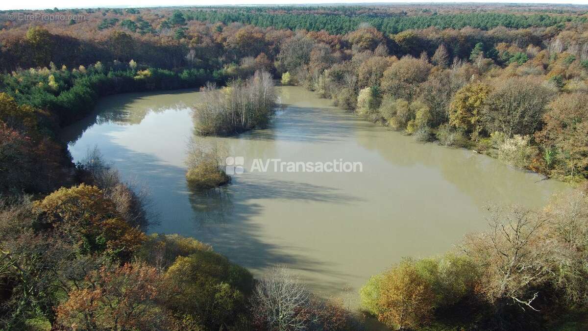 Terrain 470832 m² à Theillay  - photo 28