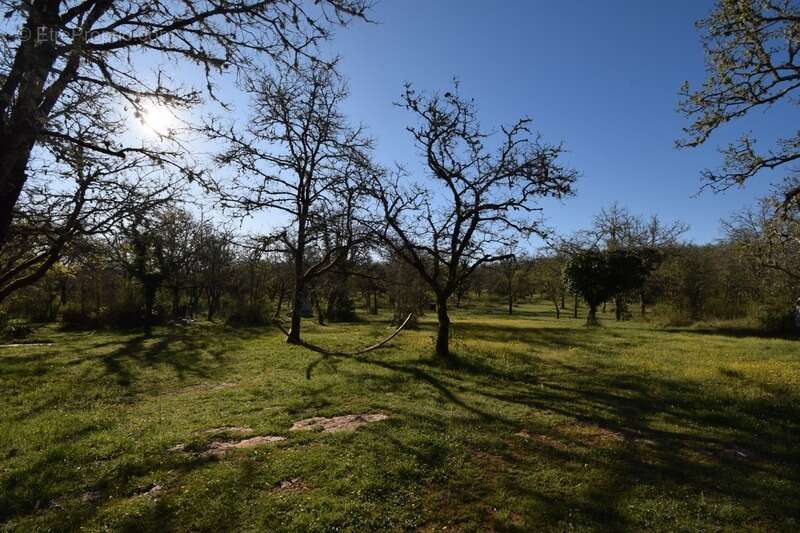 Propriete à vendre 8 pièces CREGOLS (46) - photo 41